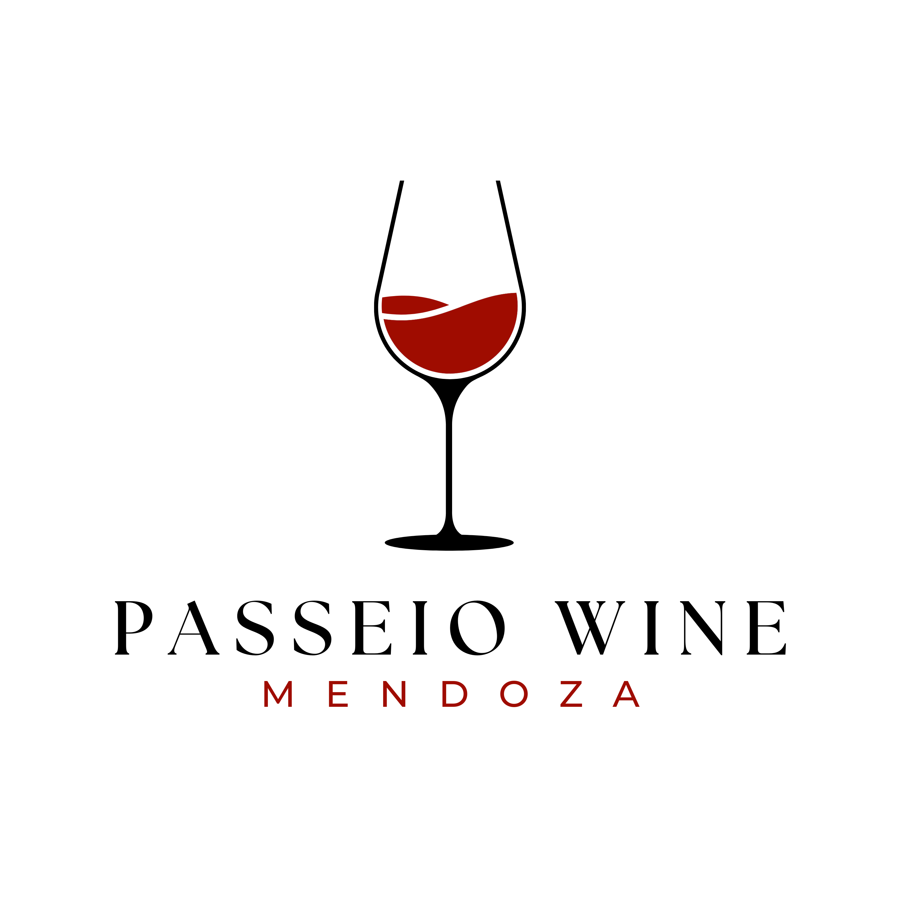 Passeio Wine Mendoza